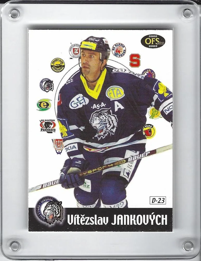 Hrdina Jan Upper Deck 2003 č.387