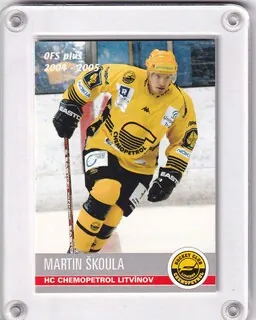 Škoula Martin OFS 2004-05  č.106