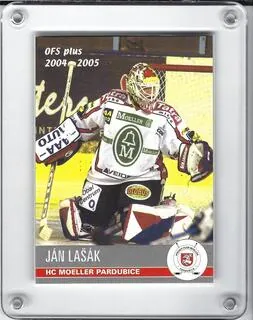 Lašák Ján OFS 2004-05  č.133