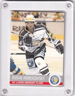 Andrašovský Dušan OFS 2004-05  č.138