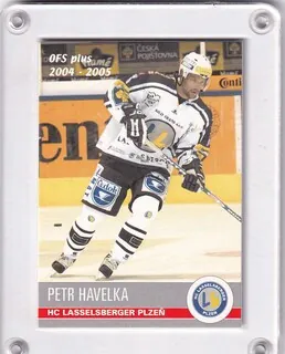 Havelka Petr OFS 2004-05  č.142