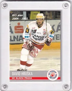Hruška David OFS 2004-05  č.163