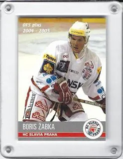 Žabka Boris OFS 2004-05  č.178