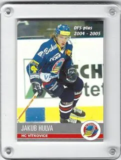 Hulva Jakub OFS 2004-05  č.228