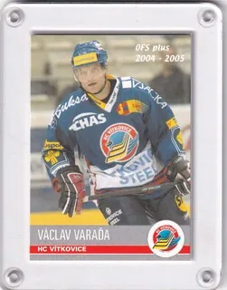 Varaďa Václav OFS 2004-05  č.242
