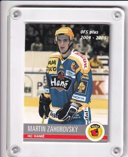 Záhorovský Martin OFS 2004-05  č.290
