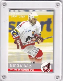 Barus Miroslav OFS 2004-05  č.307