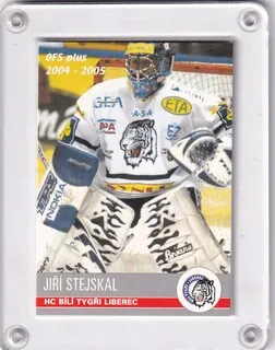 Stejskal Jiří OFS 2004-05  č.335