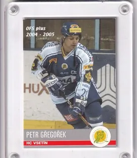 Gřegořek Petr OFS 2004-05  č.363