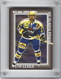 Leška Petr OFS 2004-05 Asistence č.A02