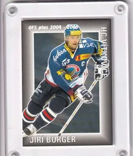 Burger Jiří OFS 2004-05 Asistence č.A08