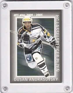 Andrašovský Dušan OFS 2004-05 Asistence č.A14