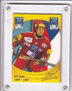 Zábranský Libor OFS 2004-05 Utkání Hvězd ČR č.H22