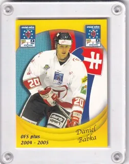 Babka Daniel OFS 2004-05 Utkání Hvězd SR č.H23