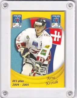 Kroták Arne OFS 2004-05 Utkání Hvězd SR č.H34