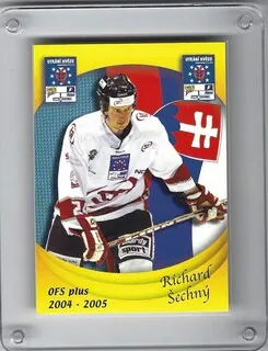 Šechný Richard OFS 2004-05 Utkání Hvězd SR č.H41