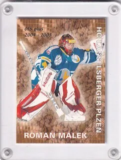Málek Roman OFS 2004-05 Průměr č.P05