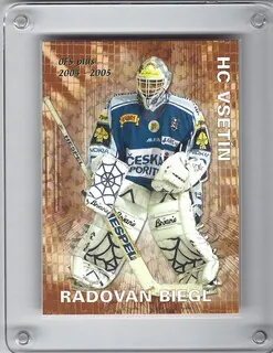 Biegl Radovan OFS 2004-05 Průměr č.P07