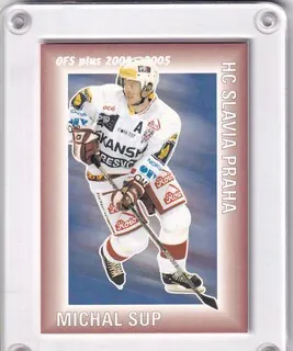 Sup Michal OFS 2004-05 Statistiky Body č.SB11