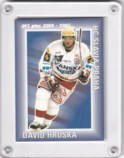 Hruška David OFS 2004-05 Statistiky Góly č.SG14