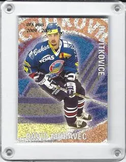 Moravec David OFS 2004-05 Seznam karet č.SK11