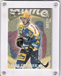 Čajánek Petr OFS 2004-05 Seznam karet č.SK13