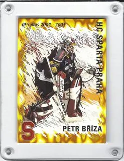 Bříza Petr OFS 2004-05 Klubová karta č.SPA