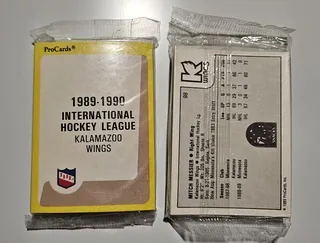 Set Kalamazoo Wings 1989-90 ProCards