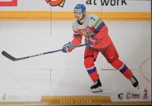 Špaček David LC Golden Prague Belongs to Us 2024 Komplet Puzzle č.DS