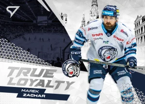 Marek Zachar SportZoo Tipsport 2024-25 I.série True Loyalty č.TL-13
