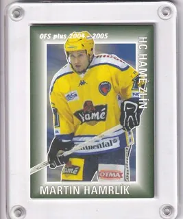 Hamrlík Martin OFS 2004-05 Obránci - Body č.OO01