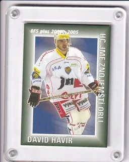Havíř David OFS 2004-05 Obránci - Body č.OO02