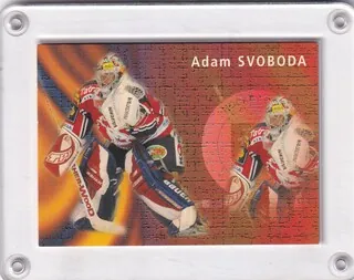 Svoboda Adam OFS Plus 2003-04 Branky č.B-03
