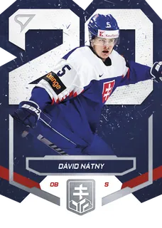 Nátny Dávid SportZoo SR Reprezentace 2023 Slovensko 20 č.SD-06