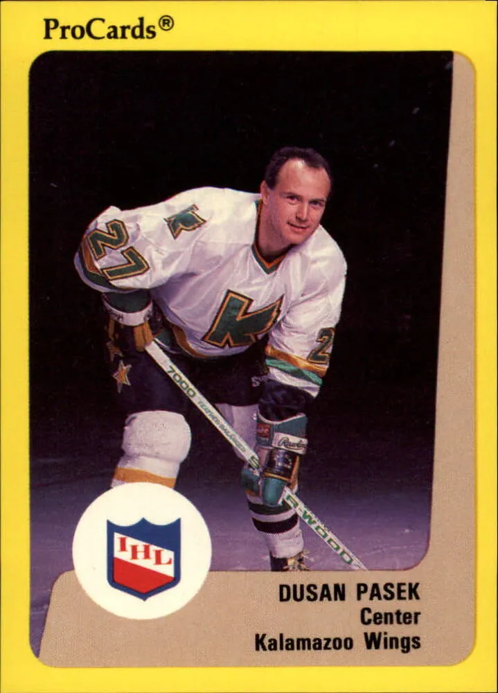 Set Kalamazoo Wings 1989-90 ProCards