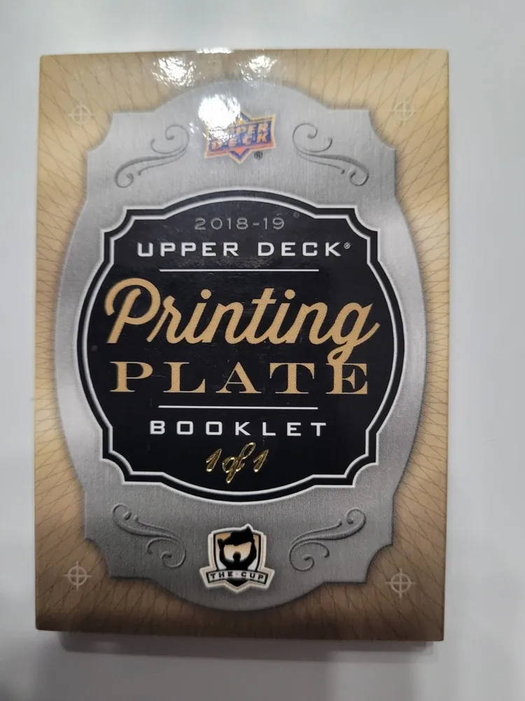 Gudas Radko The Cup 2018-19 Printing Plate  1of1 Booklket č.386