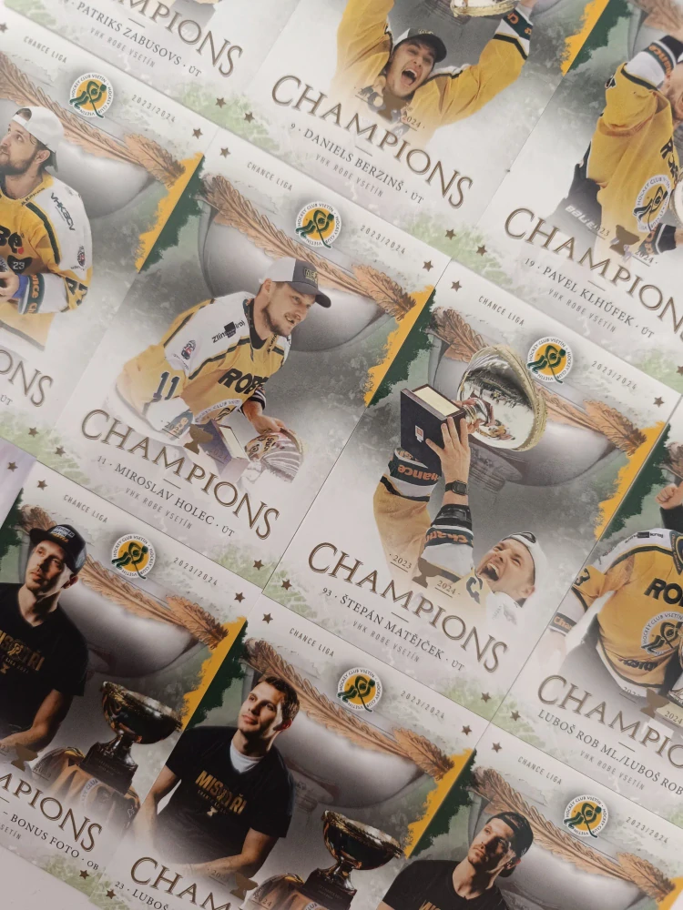 Goal Cards Champions Vsetín 2024