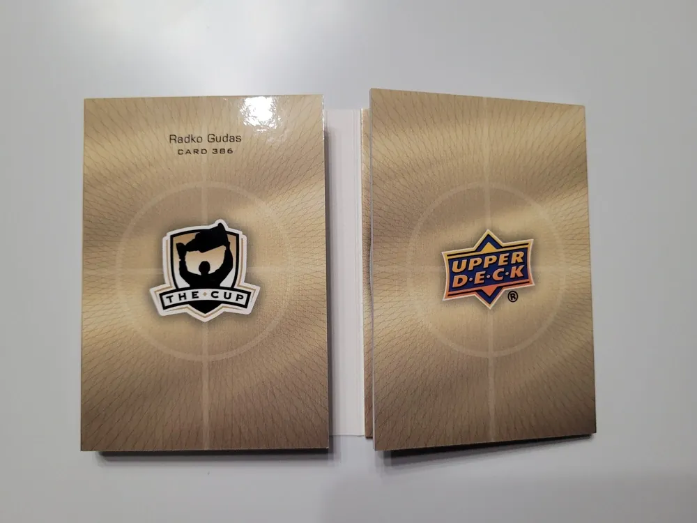 Gudas Radko The Cup 2018-19 Printing Plate  1of1 Booklket č.386