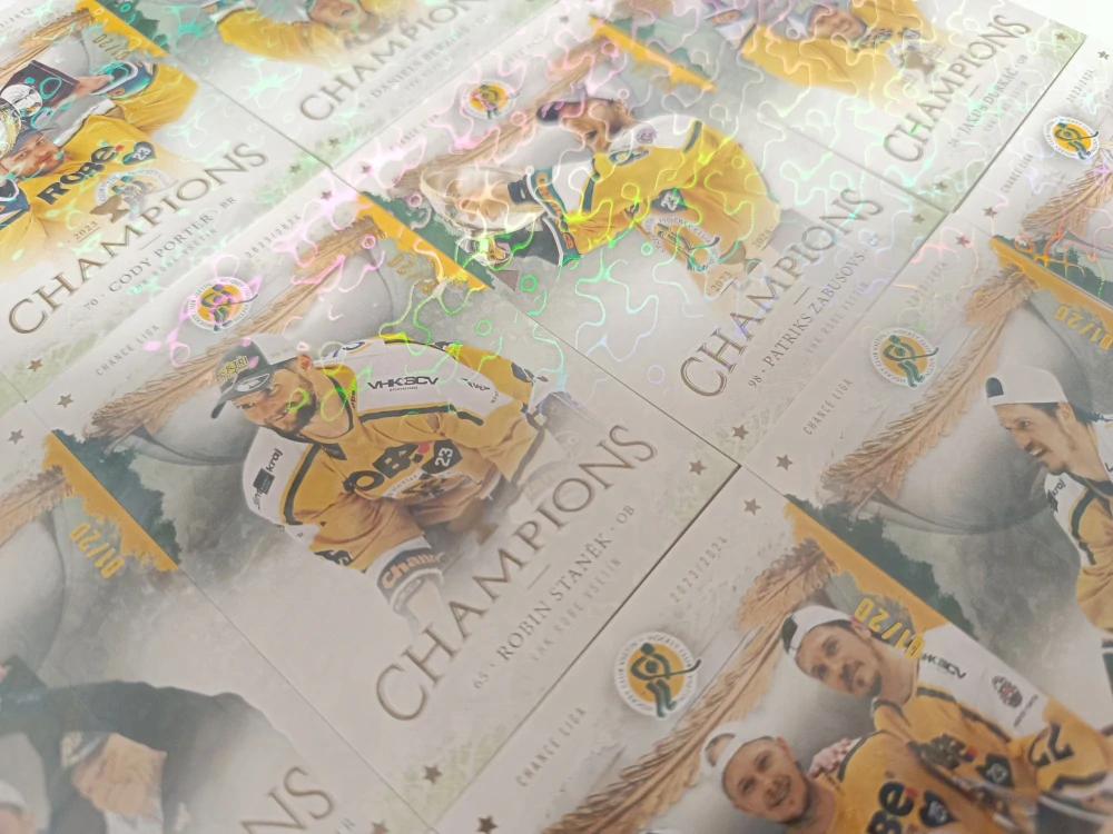 Goal Cards Champions Vsetín 2024