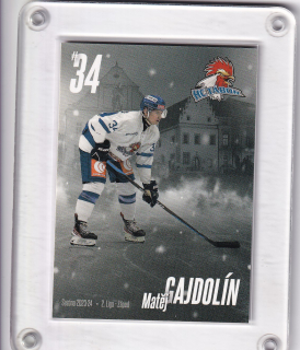 Gajdolín Matěj HC Tábor 2023-24  č.TA-13