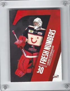 Steinhauer Lukas DEL 2011-12 Fresh Numbers č.FN03