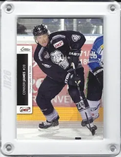 James Connor DEL 2012-13 č.262