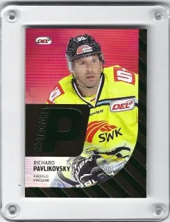 Pavlikovský Richard DEL 2012-13 Protectors č.PR09