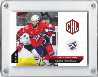 Bittner Dominik DEL 2015-16  č.151