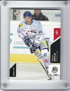 Höfflin Mirko DEL 2015-16  č.226