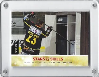 and Skills Stars DEL 2015-16 Stars and Skills č.266
