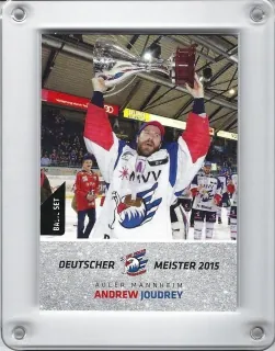 Joudrey Andrew DEL 2015-16 Meisterset č.284