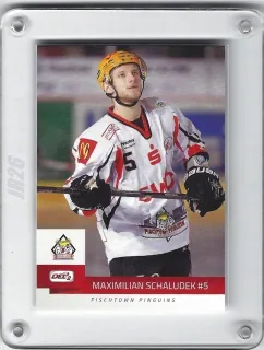 Schaludek Maximilian DEL2 2014-15  č.17