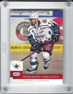 Valery Trabucco Mario DEL2 2014-15  č.41