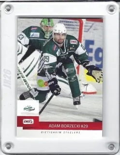 Borzecki Adam DEL2 2014-15  č.49